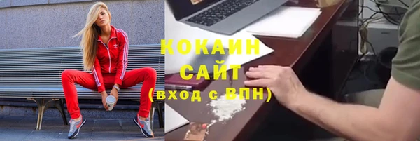 крисы Заводоуковск