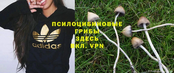 гидра Заволжск