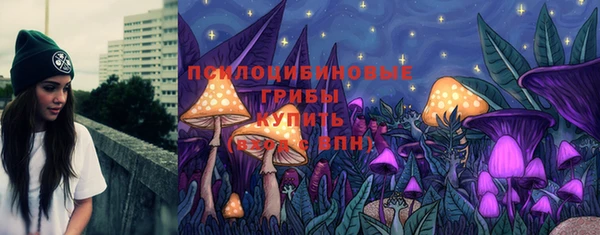 PSILOCYBIN Ельня