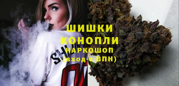 гидра Заволжск