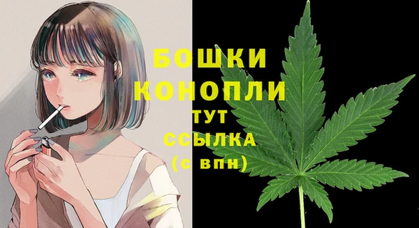 крисы Заводоуковск