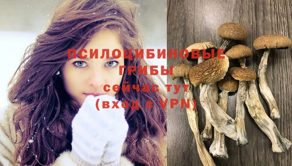 винт Заволжье