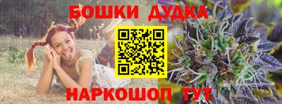 индика Донецк