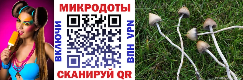 Псилоцибиновые грибы Psilocybe  как найти закладки  Зеленодольск 