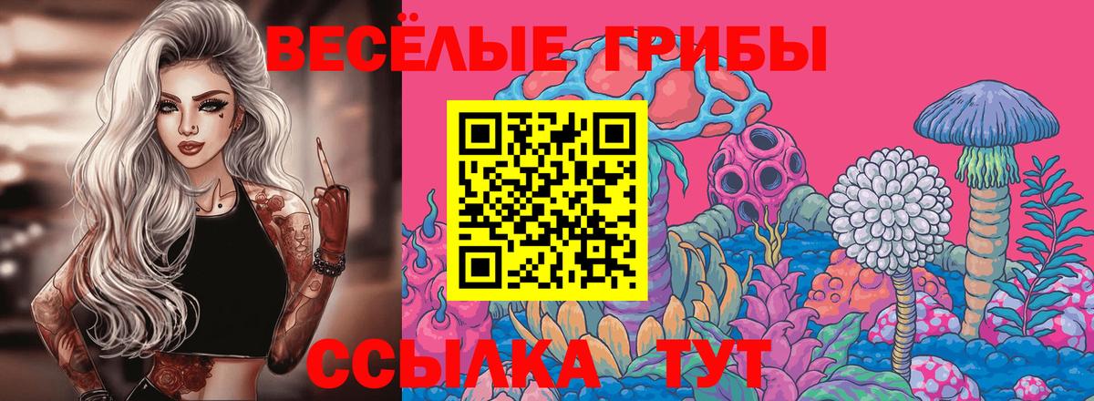 Псилоцибиновые грибы мухоморы Зеленодольск