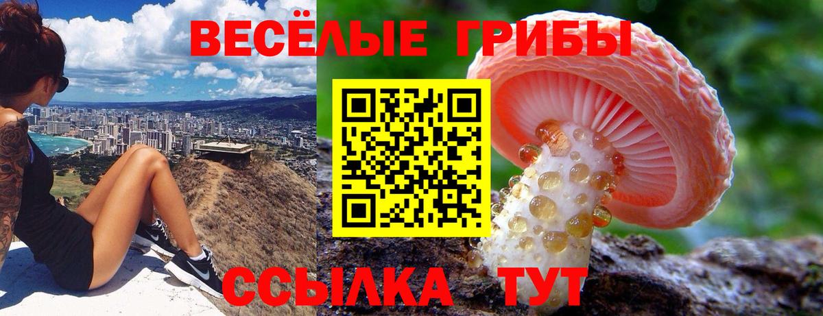 Галлюциногенные грибы прущие грибы  где купить наркотик  Зеленодольск  Вход с VPN 